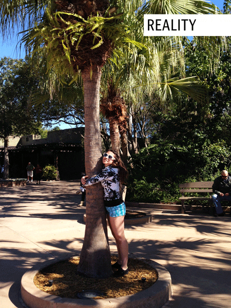 A photo from Disneyworld showing what I thought were fat legs in classic body dysmorphia fashion