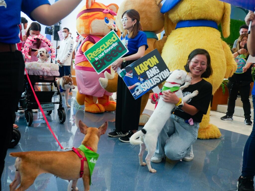 La celebración del Día Mundial de los Animales fue organizada por PAWS, la Sociedad Protectora de Animales de Filipinas.
