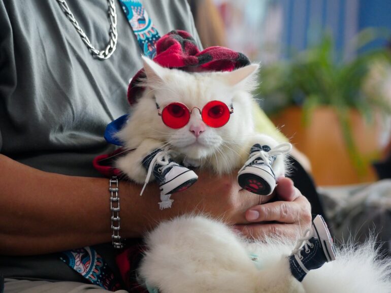 From cats in costumes to pet blessings, fur parents flocked to the Mall of Asia for World Animal Day 2023