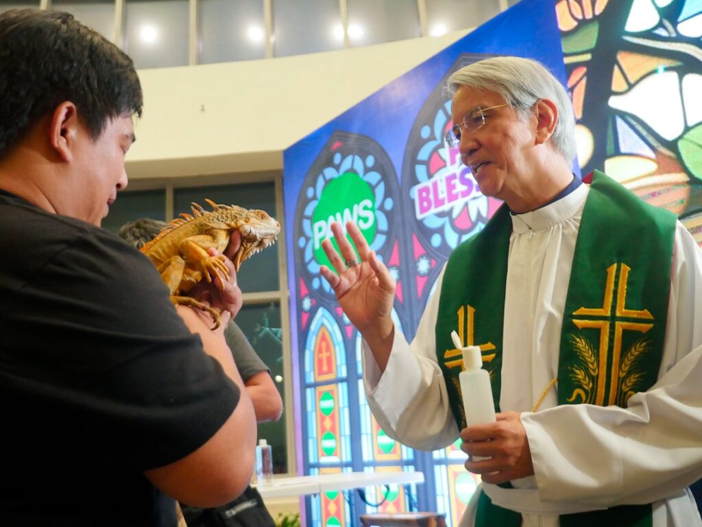 La mayor confesión religiosa de Filipinas es el catolicismo romano. Varios sacerdotes católicos acudieron a bendecir a las mascotas en un acto programado en honor de San Francisco de Asís, patrón de los animales.