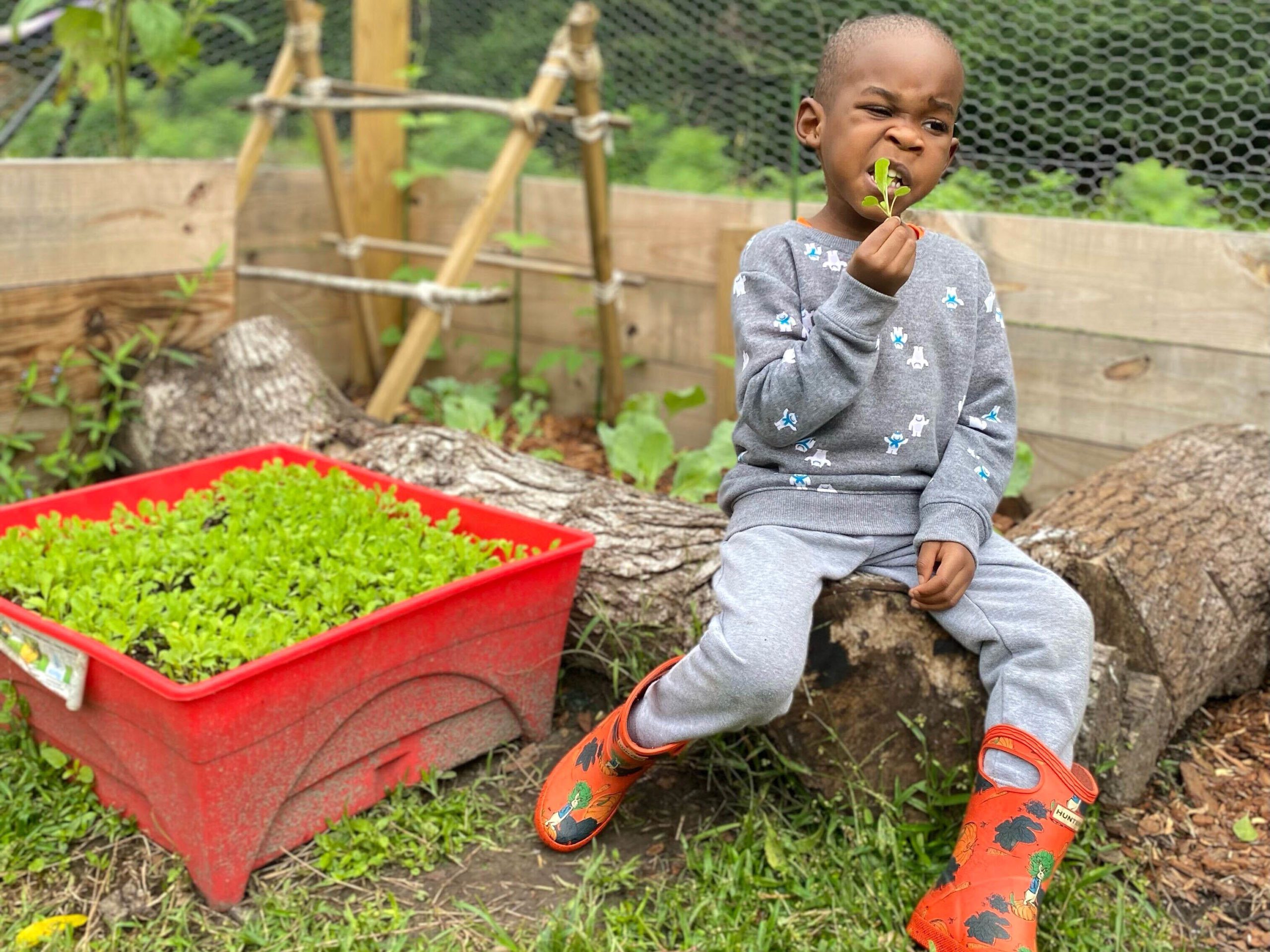 Takeya Meggett's son snacks on some of the bounty of his mother's Edisto Island crops