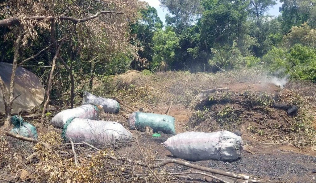 Bags of charcoal ready for transportation
