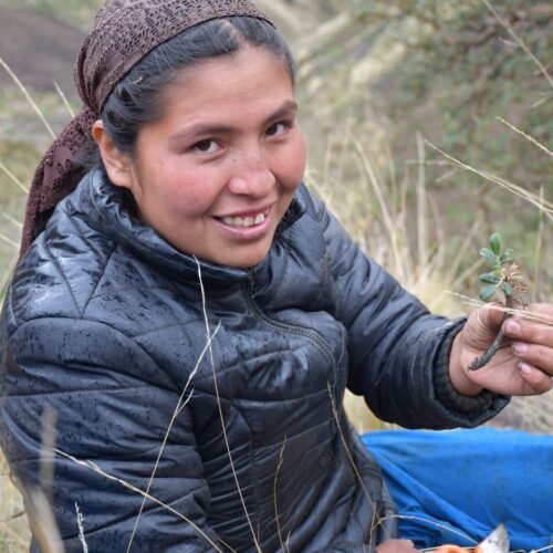 Betty Durán, 25, is a young kewiña guardian who tends to her villages nurseries as a member of the Chiaraje community in Cocapata, Bolivia.