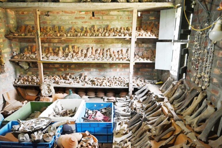 In the Sundarbans of West Bengal, museum owner scours the sea for archeological treasure