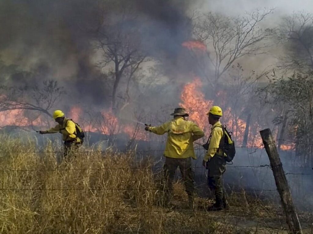 Forest fires in Bolivia have burned over 4 million hectares, with San Matías losing 46.8% of its territory. | Photo courtesy of Manuel Condori Inchabarría