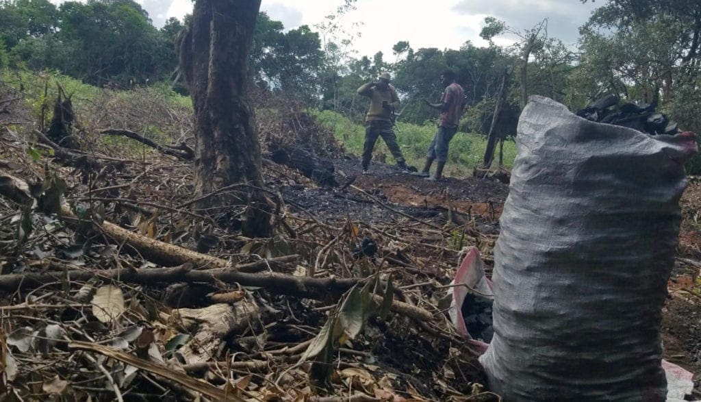 A Kenya forest service cop talking to an illegal charcoal businessman in the forest