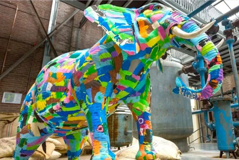 Ocean Sole removes millions of flip-flops from the beach to make sellable art