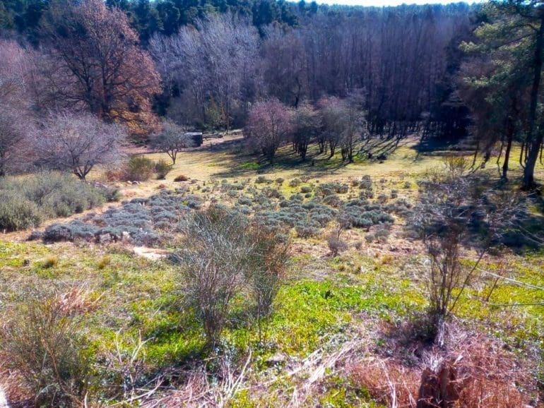 Where do natural cosmetic ingredients come from? Man describes a modern-day Garden of Eden