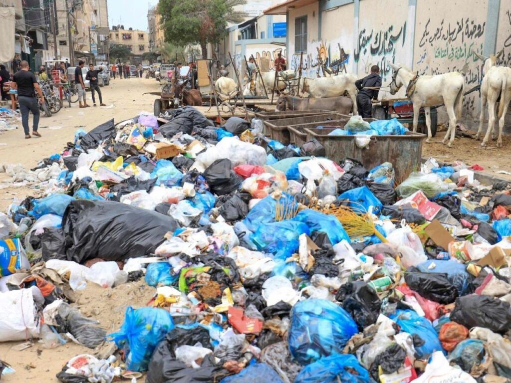 En Gaza, la basura no se recoge por falta de servicios. | Foto cortesía del Dr. Refaat Alathamna 