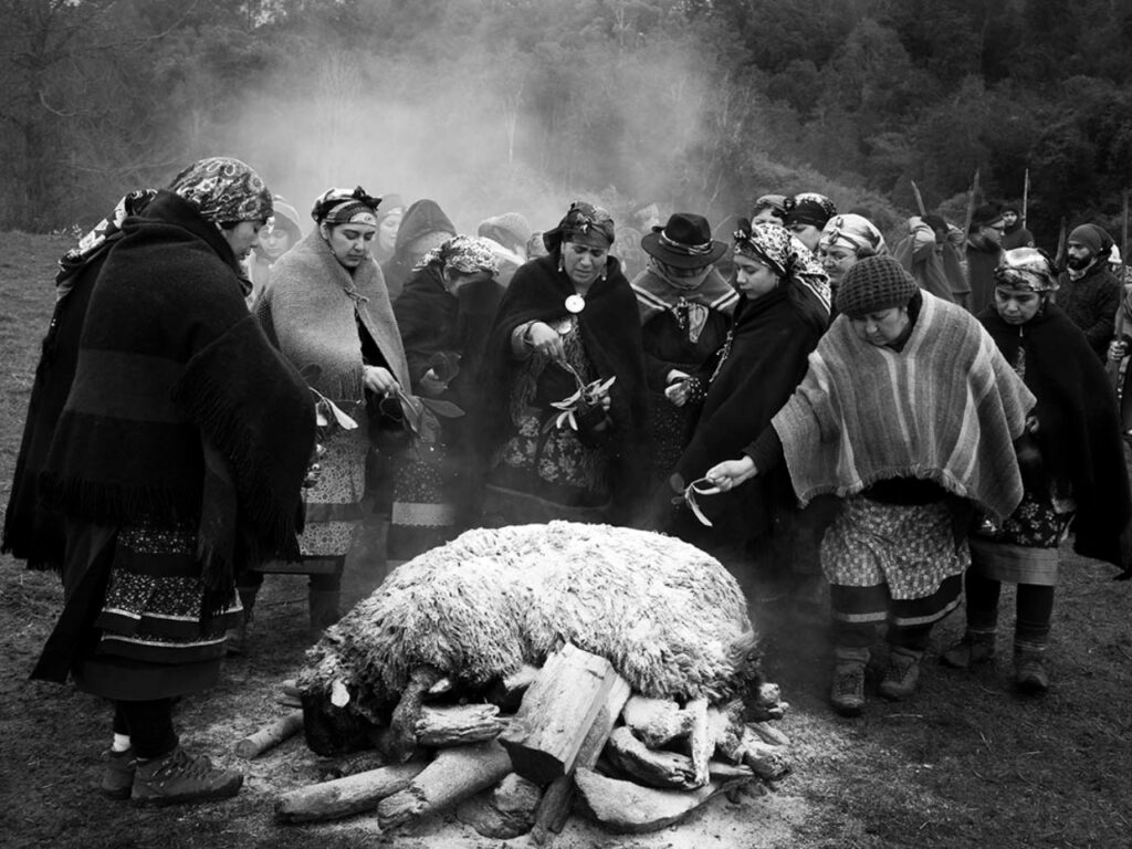 In Maihue, Los Ríos, Chile, during the night ceremony of the Nguillanmawun, Machi Millaray, surrounded by her community, enters into a trance to receive the guidance of the ancestral spirits that have long watched over her people. As dawn breaks, the women offer a lamb in thanksgiving. | Photo courtesy of Pablo Piovano