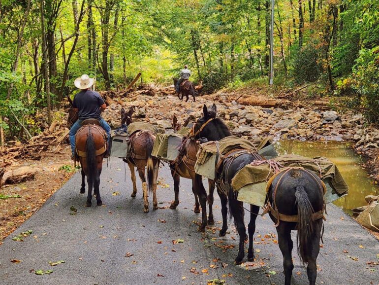 The crew from Mountain Mule Packer Ranch carried supplies into the Carolina mountains after Hurricane Helene cut off communities