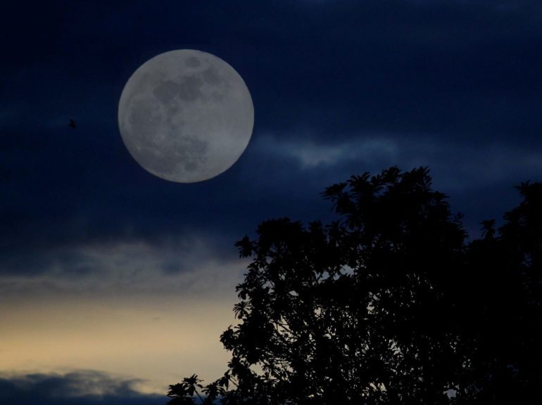 Photographer captures last lunar eclipse, blood moon until March 2025