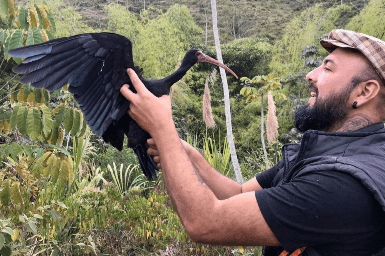 Davis Beltrán next to a black vulture