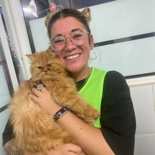 Alba Arévalo and Sandra Cervera are now leading an impactful work through their animal rescue organization, born in the aftermath of the hurricane in Valencia.