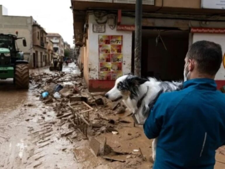 Volunteers aid flood victims in Spain, turning soccer field into shelter for rescued animals