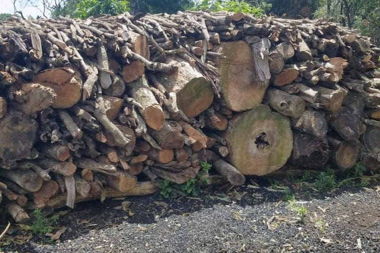 A heap of tree trunks being arranged to erect a furnace for charcoal burning