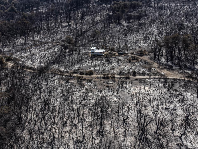 Miracle amidst the flames: fire sweeps through the forest but leaves a single home perfectly intact
