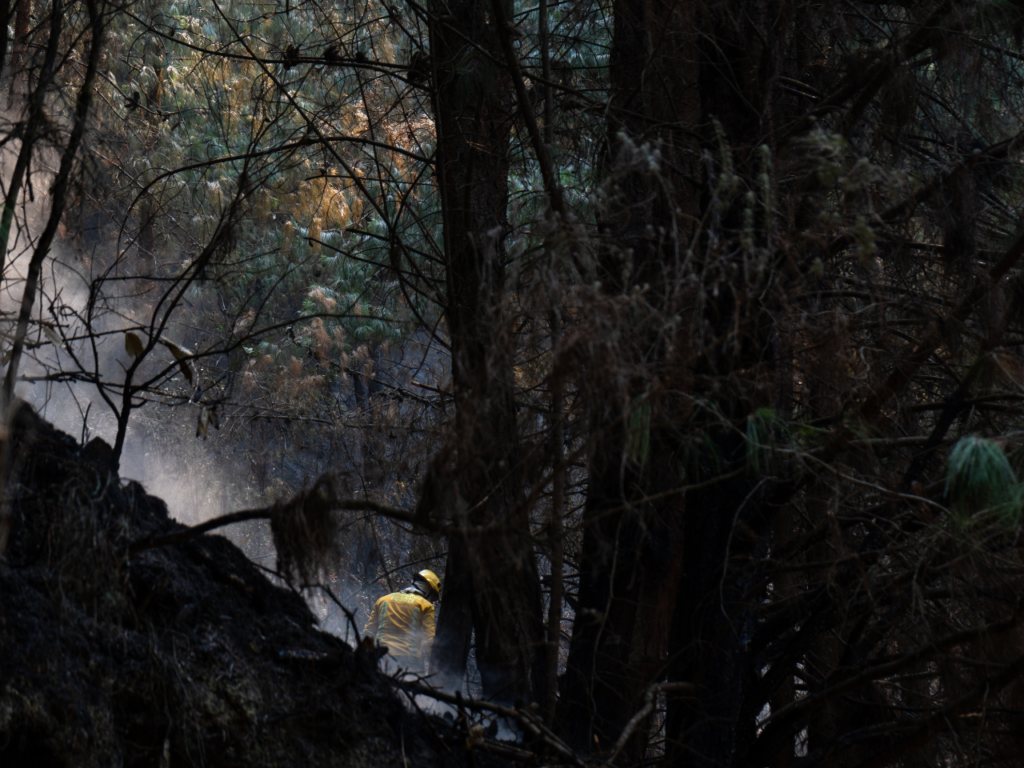 Firefighter battling the wildfires at El Cable Hill in Colombia | Photo courtesy of David Camilo Plazas Vargas