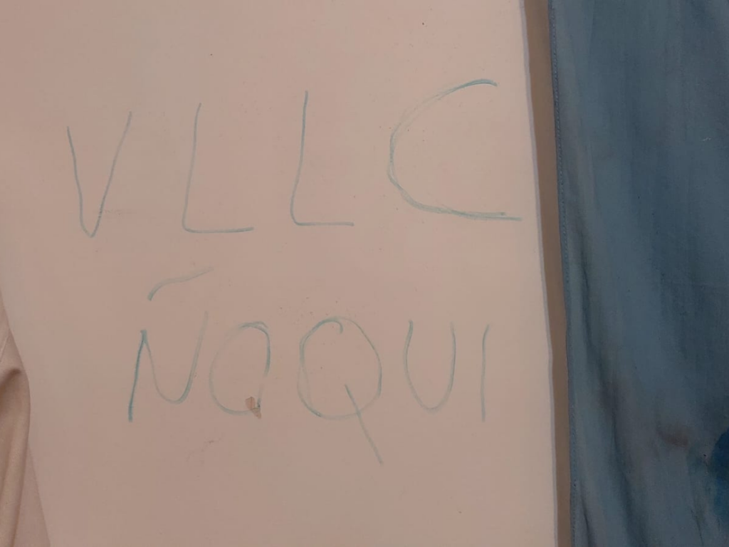 Assailants vandalized her property with the acronym VLLC (Viva la Libertad Carajo)
