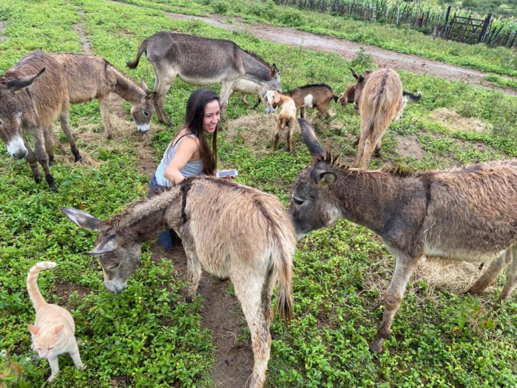 Patricia alongside the surviving donkeys, in a land dedicated to their conservation. | Photo Courtesy of Patricia Tatemoto