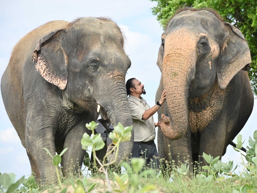 Wildlife campaigner Kartick Satyanarayan poses with elephants at his Elephant Hospital facility. | Photo courtesy of Wildlife SOS