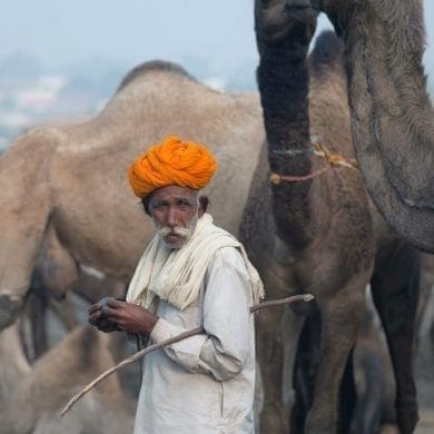 Foto de Nicolas Preci de un hombre vendiendo camellos.