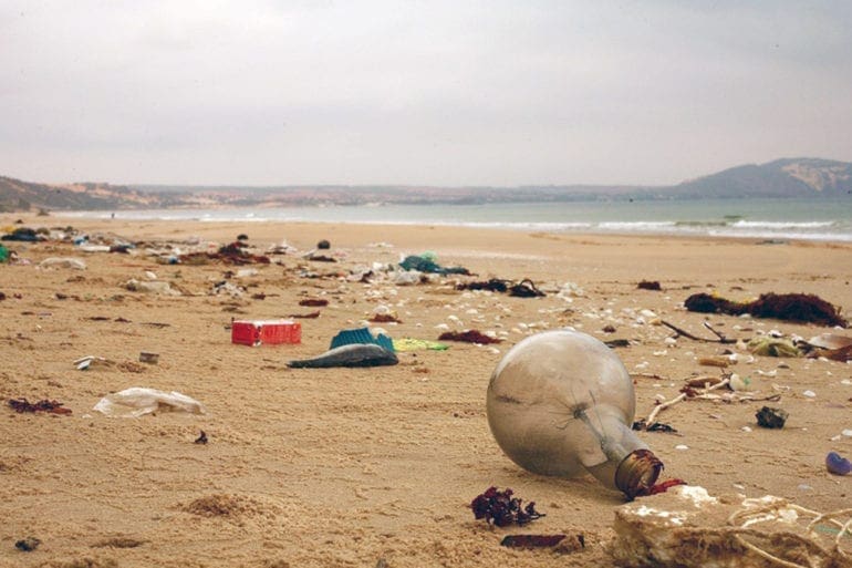 Portrait of environmental pollution on a beach caused by the use and disposal of single-use plastic.