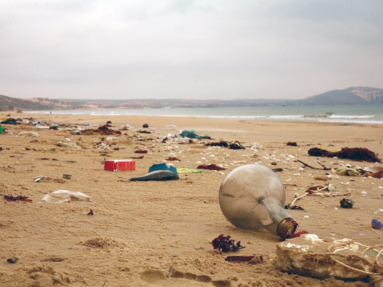 Portrait of environmental pollution on a beach caused by the use and disposal of single-use plastic.