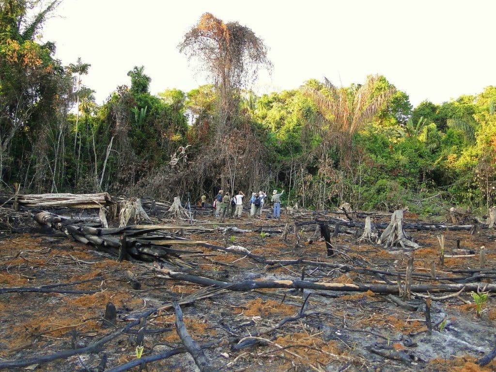 A deforested area in Pueblo Nuevo Yutajé, Amazonas State, southern Venezuela