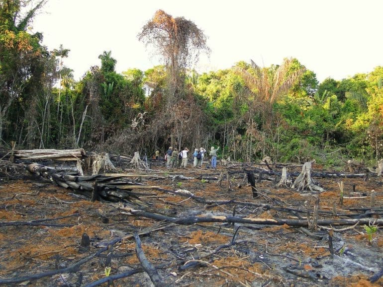 Venezuela man finds bodies in water supply, fights environmental crimes