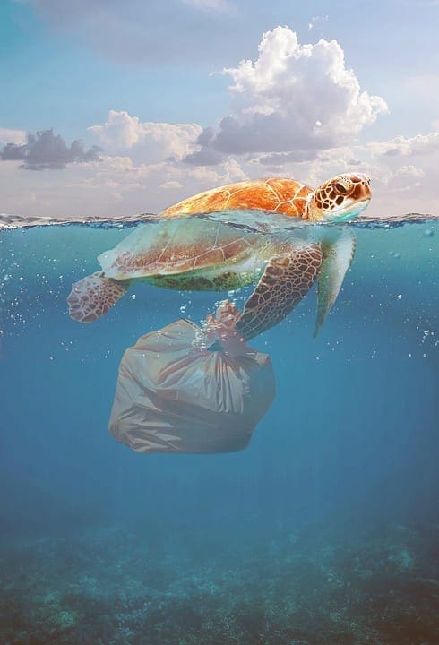 Tal como lo interpreta el artista, los desechos plásticos llegan a la vida marina.