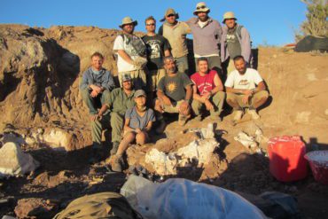 The team that discovered Meraxes in the second excavation in 2013