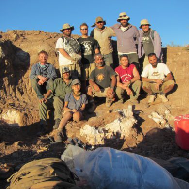The team that discovered Meraxes in the second excavation in 2013