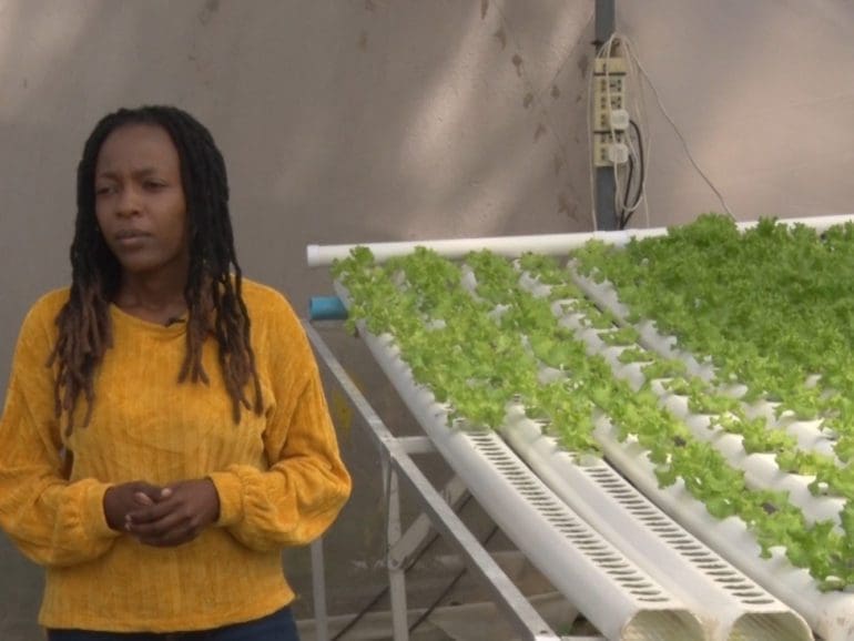 Madre e hija en Zimbabue expande la industria de la agricultura hidropónica