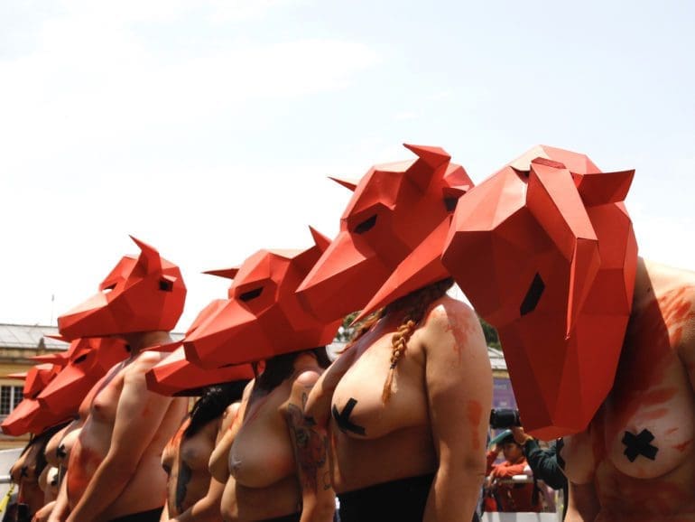 Demonstrators organize protests against bullfighting in Bogotá