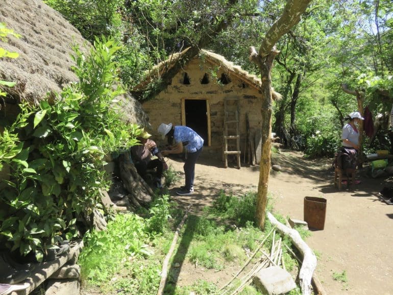 Doctor details 16-hour mule ride to reach remote patients, recounts the beauty of ancestral life in the modern era