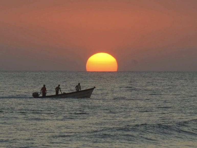 El Salvador celebrates its rich marine life on June 8: World Ocean Day