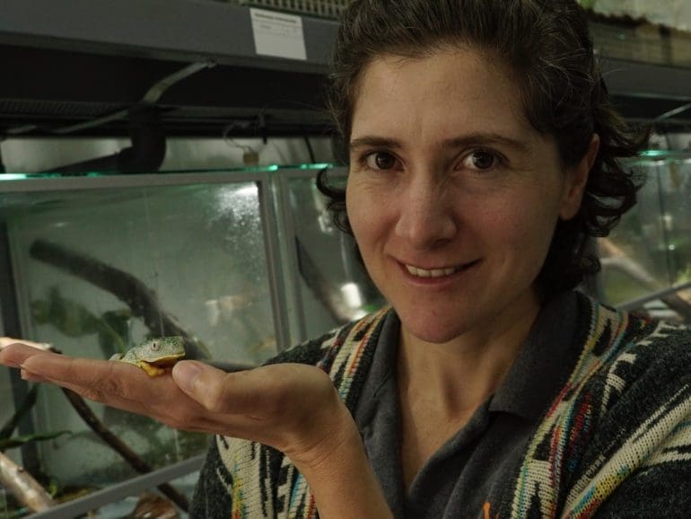 Biologist fights wildlife trafficking, celebrates World Frog Day