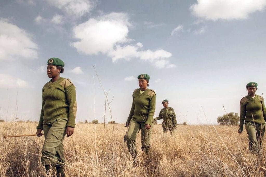 Two female Kenyan rangers dressed in green uniforms walk through the Kenyan wilderness.